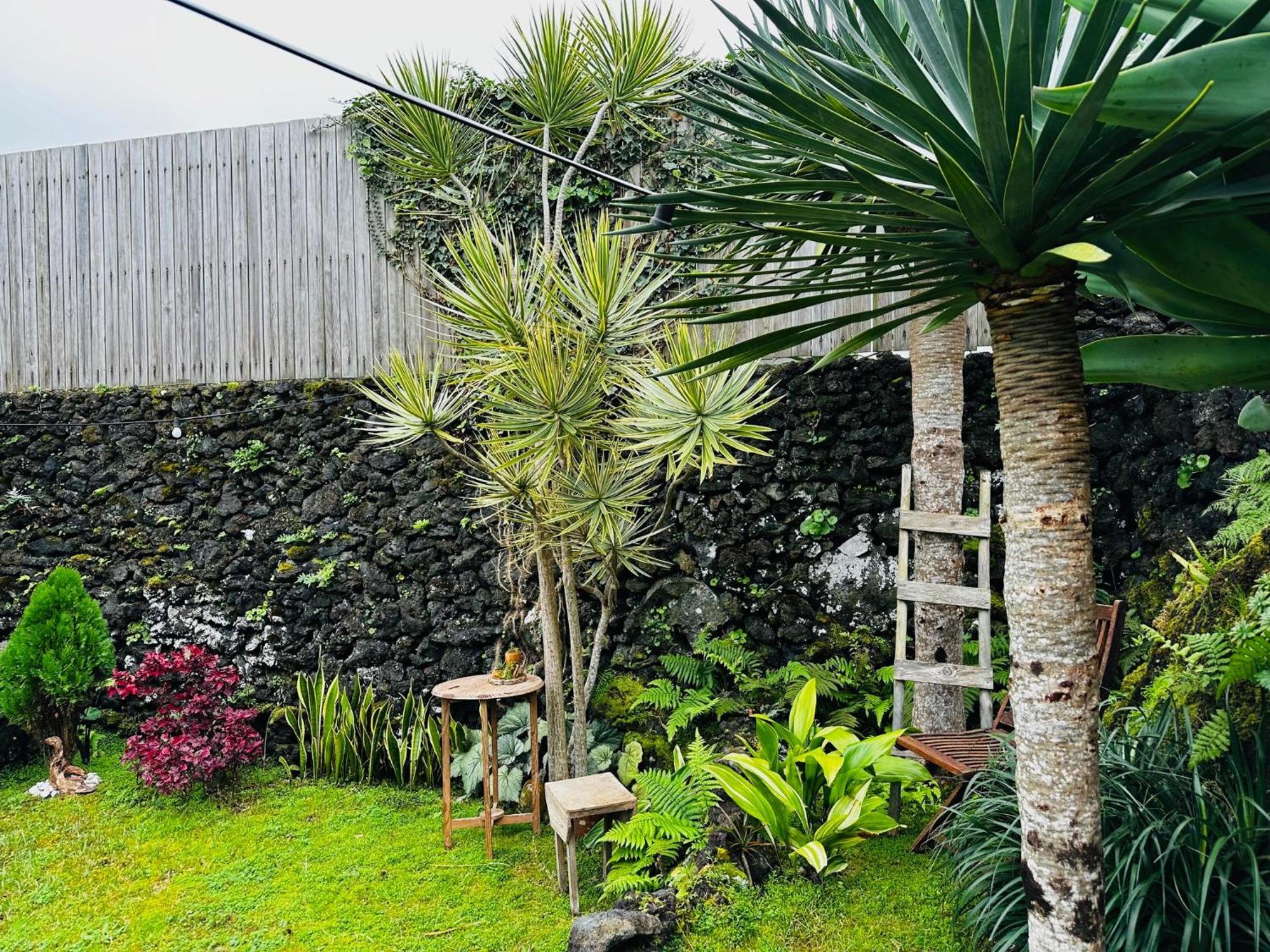 Villa Portugal House Praia do Norte Esterno foto